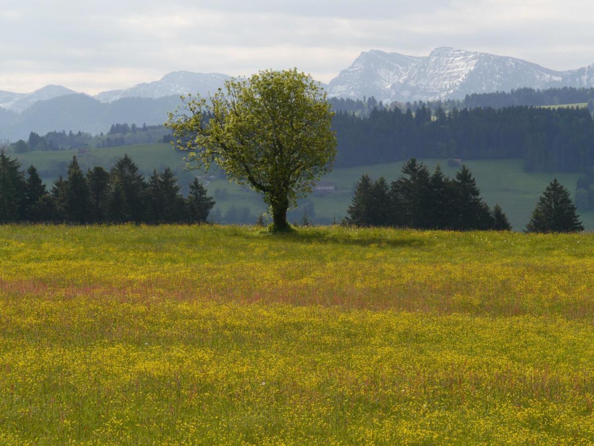 Hotel Post - Regionales Grosses Fruehstuecksbuffet - Auch Gf & Lf Scheidegg Dış mekan fotoğraf