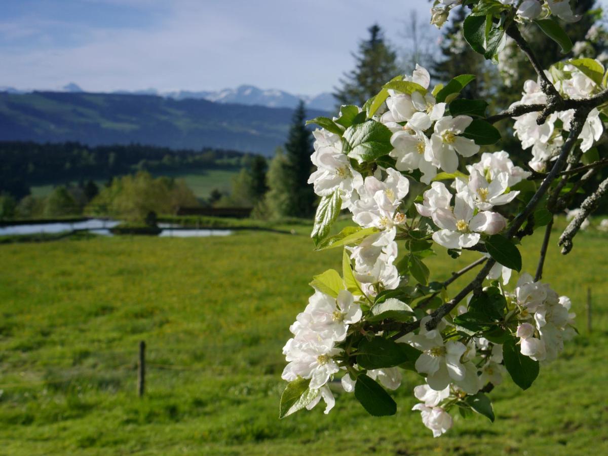 Hotel Post - Regionales Grosses Fruehstuecksbuffet - Auch Gf & Lf Scheidegg Dış mekan fotoğraf